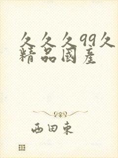 久久久99久久精品国产