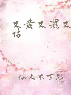 又黄又湿又爽网站