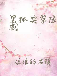 黑孤突击队电视剧