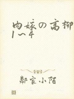 肉嫁の高柳动漫1~4