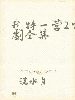 我特一营2电视剧全集