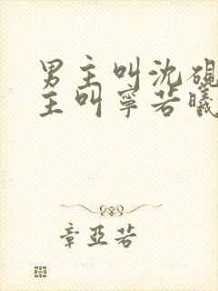 男主叫沈砚舟女主叫宁若曦的小说