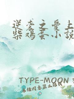 逆袭之爱上情敌柴鸡蛋小说未删减版