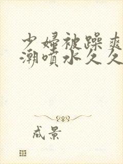 少妇被躁爽到高潮喷水久久97