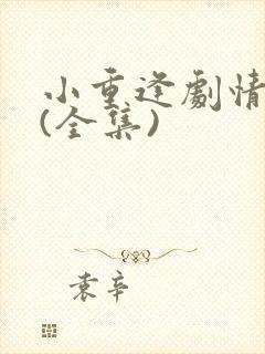 小重逢剧情介绍(全集)