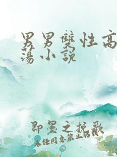 男男双性高h浪荡小说