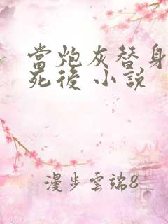 当炮灰替身的我死后 小说