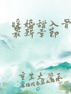 暖婚甜入骨小说最新章节