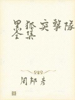 黑狐突击队免费全集