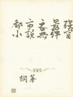 都市之最强狂兵小说无弹窗