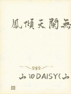 凤倾天阑无弹窗