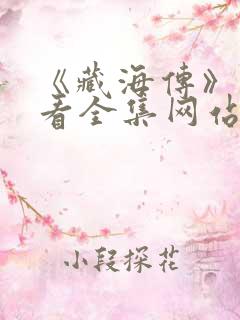 《藏海传》免费看全集网站