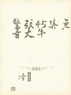惊弦45集免费看大牛