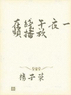 在线午夜一区视频播放