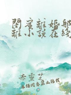 闺蜜离婚那我也离小说在线阅读免费