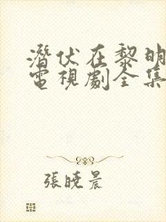 潜伏在黎明之前电视剧全集40集免费观看