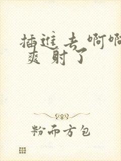 插进去 啊啊啊 爽 射了