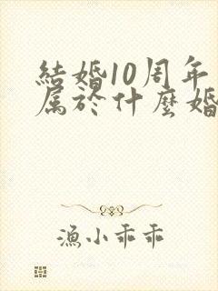 结婚10周年是属于什么婚