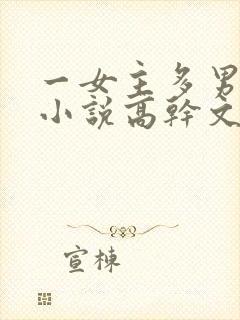 一女主多男主的小说高干文