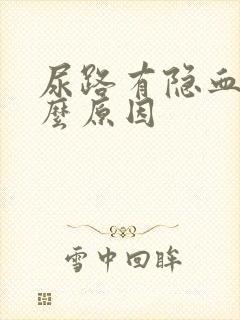 尿路有隐血是什么原因