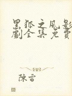 黑狐之风影电视剧全集免费观看