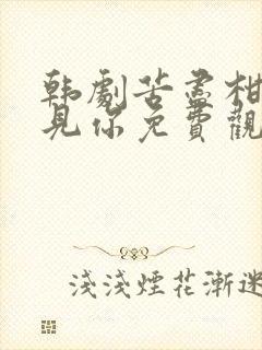 韩剧苦尽柑来遇见你免费观看第二集