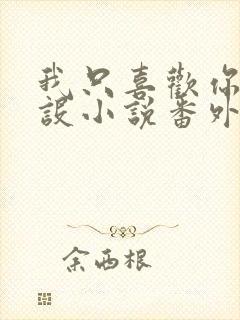 我只喜欢你的人设小说番外