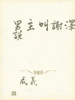 男主叫谢泽的小说