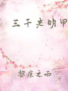 三千光明甲