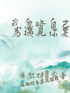 我忽略自己就因为遇见你是什么歌