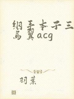 纲手本子三*无乌翼acg