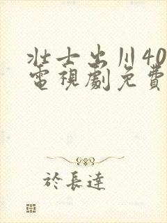 壮士出川40集电视剧免费在线观看