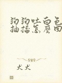 狗狗吐白色泡沫抽搐怎么回事