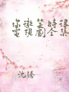 你微笑时很美 电视剧全集免费