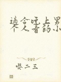 适合晚上男人一个人看的小说