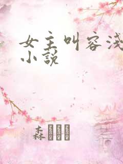 女主叫容浅夏的小说