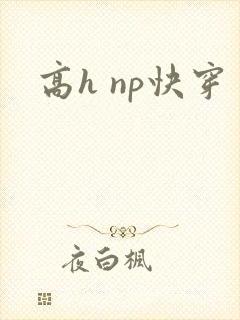 高h np快穿