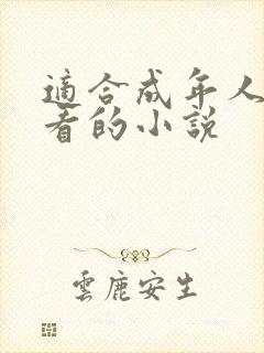 适合成年人晚上看的小说