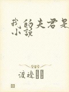 我的夫君是冥王小说