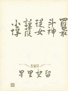 小说从斗罗开始俘获女神最新章节