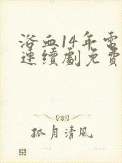 浴血14年电视连续剧免费观看