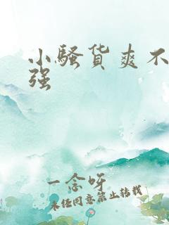 小骚货爽不爽女强