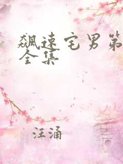 飙速宅男第二季全集