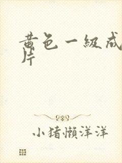 黄色一级成人大片