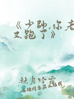 《少帅,你老婆又跑了》