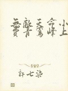 无敌天命小说免费青鸾峰上