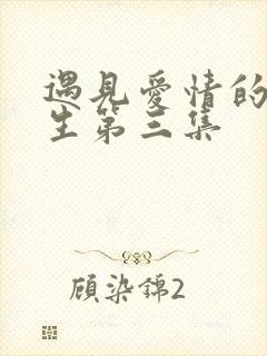 遇见爱情的利先生第三集