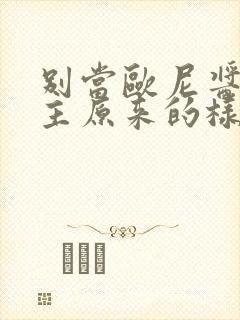 别当欧尼酱了男主原来的样子