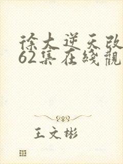 徐大逆天改命162集在线观看