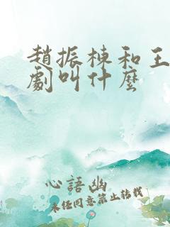 赵振栋和王轩短剧叫什么